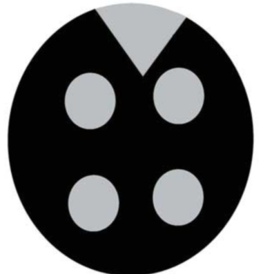 92251944-d3f2-11ef-9d2f-000c29e1040d
